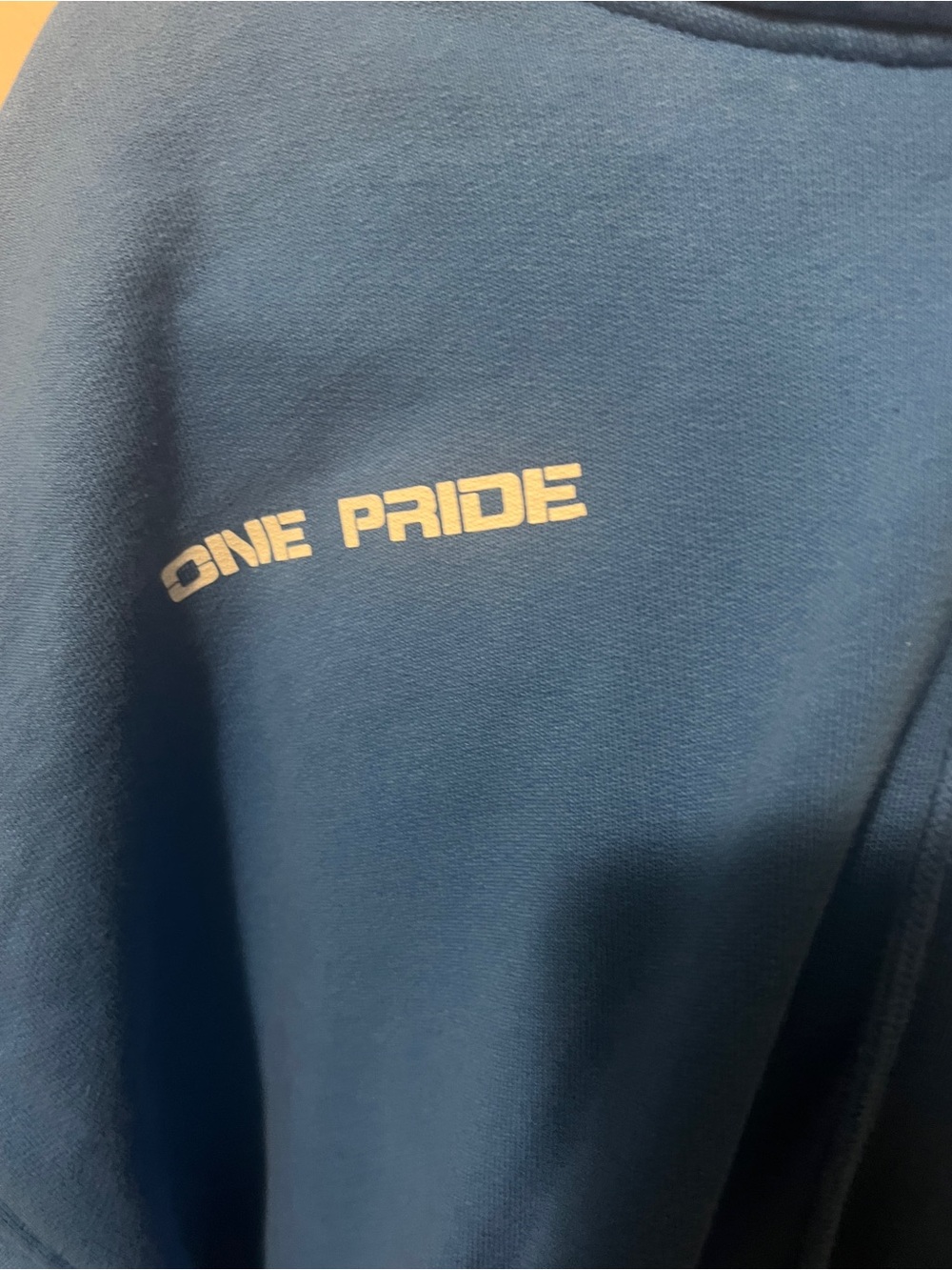 Detroit Lions Women’s Blue One Pride Pullover Hoodie - Picture 2 of 7